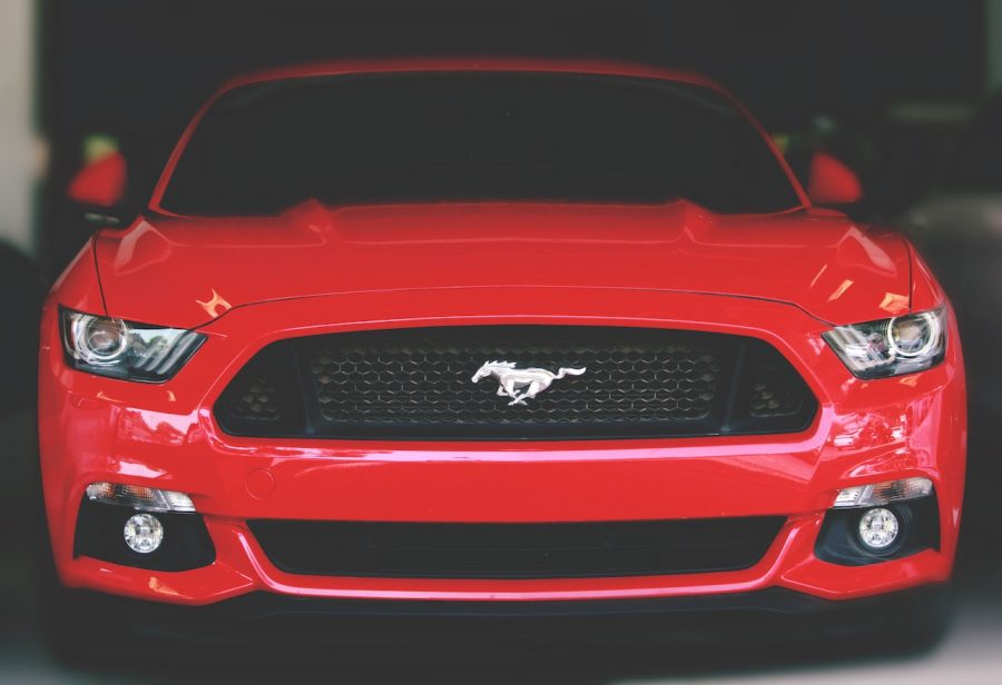 Car-Brand-Mustang-Logo-Design