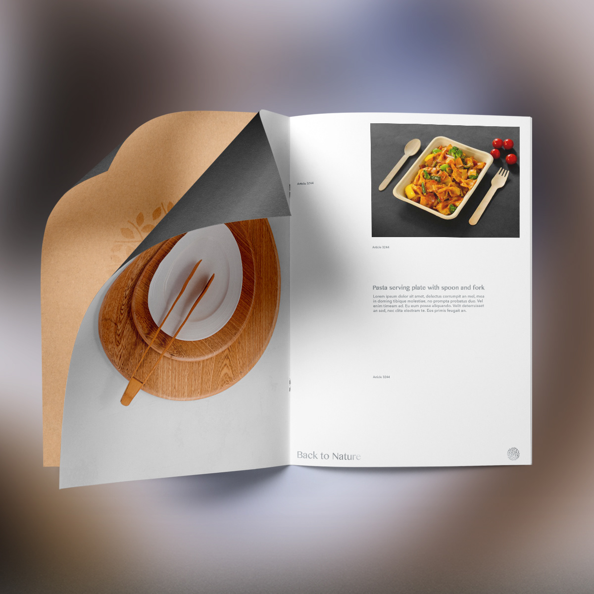 Brochure design for serveware company