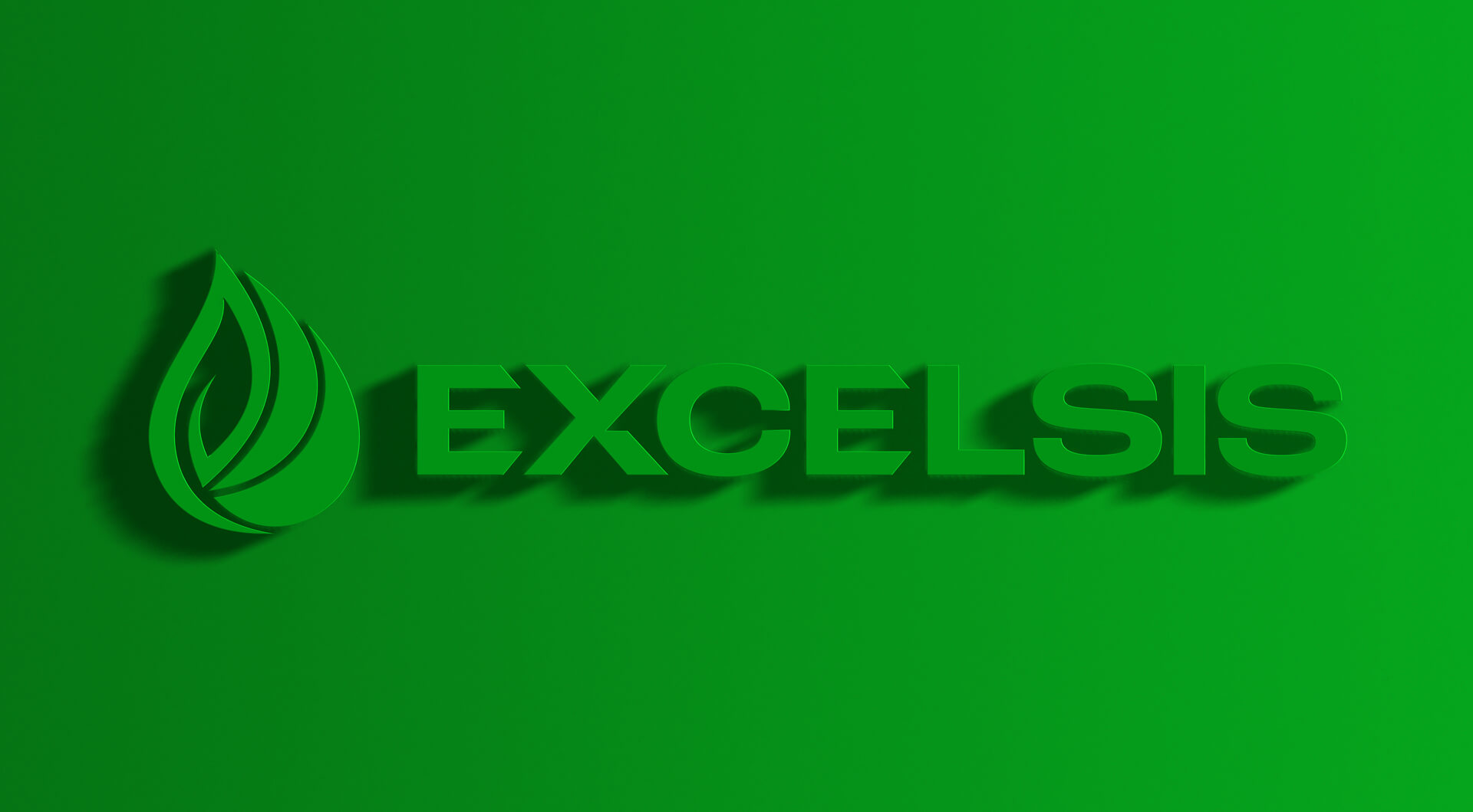 Logo Background for Excelsis