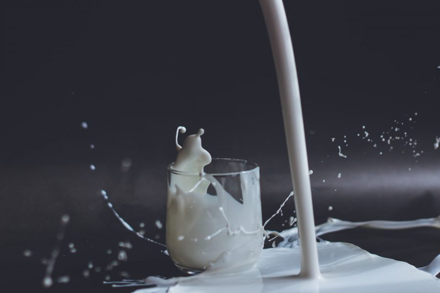 milk-packaging-ideas