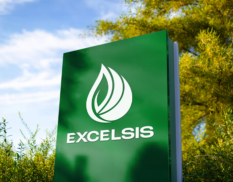 Excelsis | Brand Strategy Agencies