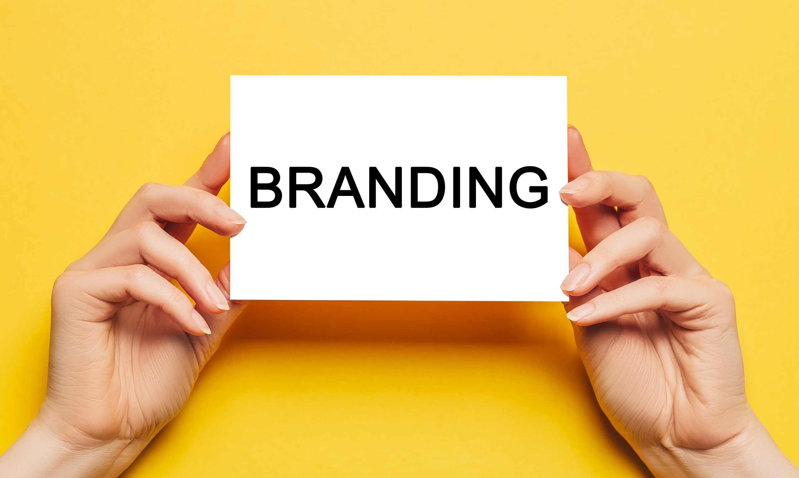 Power of Branding: Turning Your Vision into a Thriving Business Reality